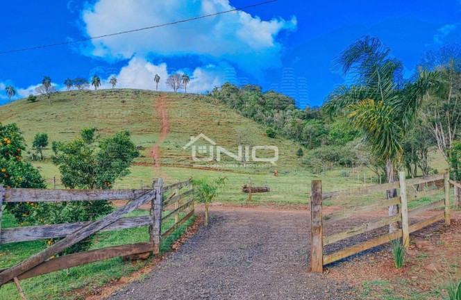 Imagem Fazenda à Venda, em Comunidade Interior - Mariópolis Imagem Fazenda à Venda, em Comunidade Interior - Mariópolis