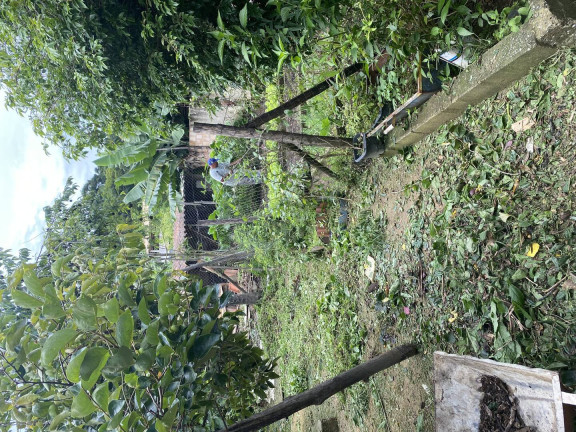 Imagem Casa com 4 Quartos à Venda, 2.000 m² em Califórnia - Betim Imagem Casa com 4 Quartos à Venda, 2.000 m² em Califórnia - Betim