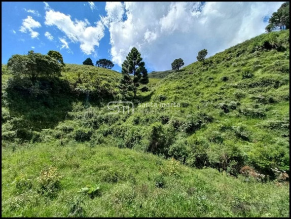 Imagem Imóvel à Venda, 786.000 m² em Cafundó - Silveiras