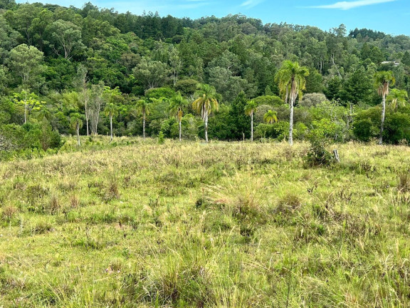 Imagem Chácara à Venda, 3 m² em Morungava - Gravataí Imagem Chácara à Venda, 3 m² em Morungava - Gravataí