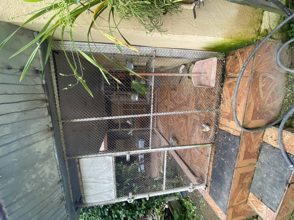 Imagem Casa com 4 Quartos à Venda, 2.000 m² em Califórnia - Betim Imagem Casa com 4 Quartos à Venda, 2.000 m² em Califórnia - Betim