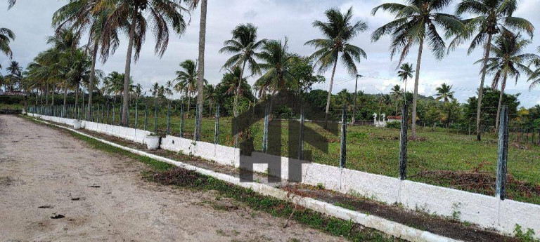 Imagem Terreno à Venda, 1.000 m² em Cruz Do Rebouças - Igarassu