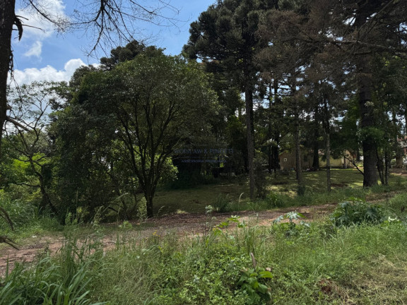Imagem Terreno à Venda, 1.347 m² em Osasco - Colombo Imagem Terreno à Venda, 1.347 m² em Osasco - Colombo