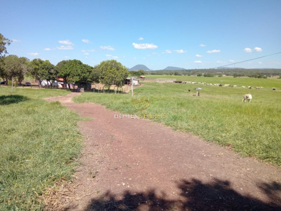 Imagem Imóvel com 3 Quartos à Venda, 1.240 m² em Centro - Nobres Imagem Imóvel com 3 Quartos à Venda, 1.240 m² em Centro - Nobres