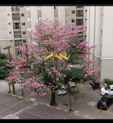 Imagem Apartamento com 2 Quartos à Venda, 51 m² em Campo Limpo - São Paulo