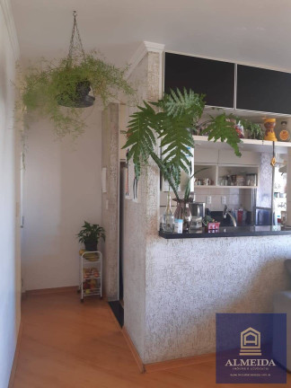 Imagem Apartamento com 3 Quartos à Venda, 65 m² em Jardim São Luís - São Paulo Imagem Apartamento com 3 Quartos à Venda, 65 m² em Jardim São Luís - São Paulo