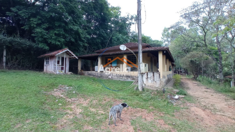 Imagem Imóvel com 3 Quartos à Venda, 25.000 m² em Jardim Primavera - Mogi Mirim Imagem Imóvel com 3 Quartos à Venda, 25.000 m² em Jardim Primavera - Mogi Mirim