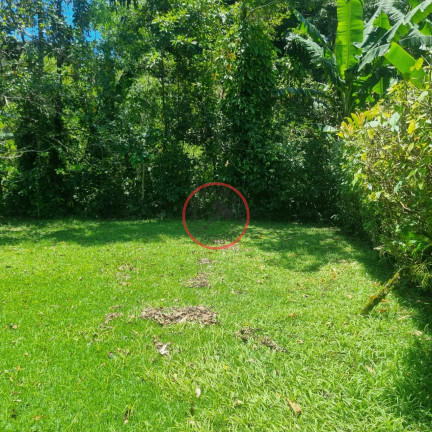 Imagem Casa com 2 Quartos à Venda, 150 m² em Boiçucanga - São Sebastião