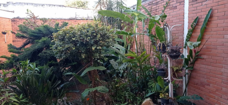 Imagem Casa com 4 Quartos à Venda, 220 m² em Centro - Jacareí Imagem Casa com 4 Quartos à Venda, 220 m² em Centro - Jacareí