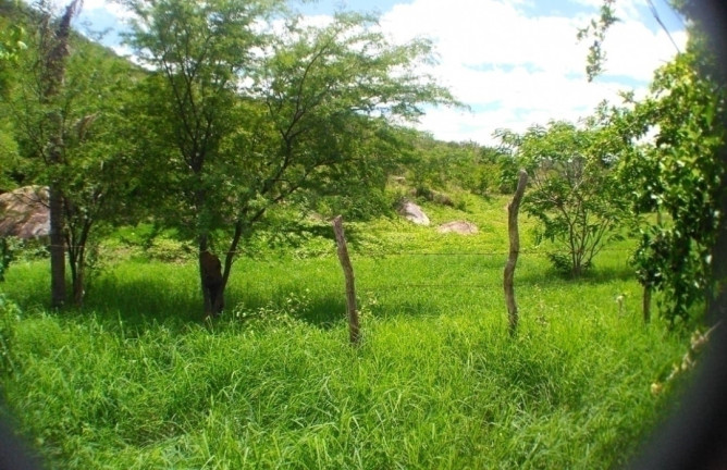 Imagem Terreno à Venda, 84 m² em Carapotos - Caruaru Imagem Terreno à Venda, 84 m² em Carapotos - Caruaru