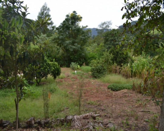 Imagem Imóvel à Venda, 714 m² em Joaneta - Picada Café