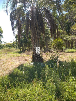 Imagem Imóvel à Venda, 100.000.000 m² em Etelvina - Itaara