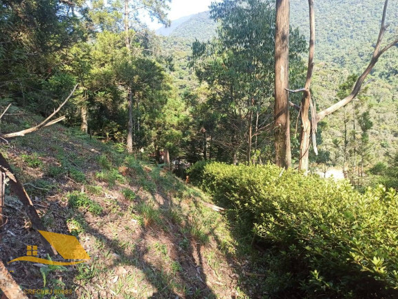 Imagem Chácara com 3 Quartos à Venda, 150 m² em Theodoro De Oliveira - Nova Friburgo