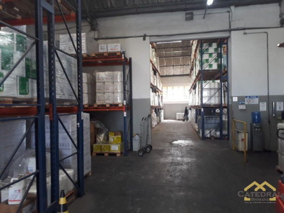 Imóvel para Alugar, 2.500 m² em Jardim Eulina - Campinas