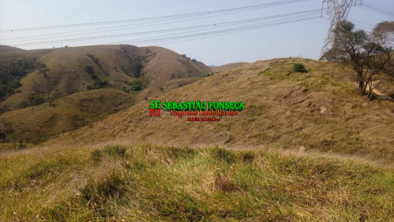 Imagem Chácara com 2 Quartos à Venda, 1.200.000 m² em Centro - Caçapava