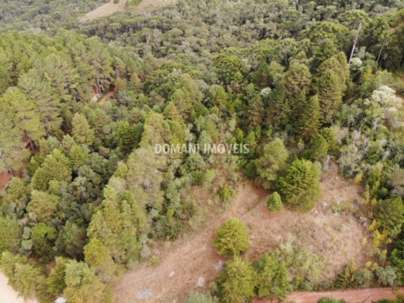 Imagem Imóvel à Venda, 10.050 m² em Região De Descansópolis - Campos Do Jordão