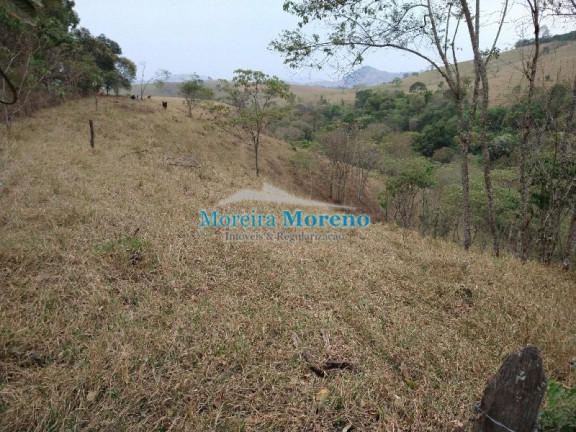 Imagem Imóvel à Venda, 5 m² em Zona Rural - Borda Da Mata Imagem Imóvel à Venda, 5 m² em Zona Rural - Borda Da Mata