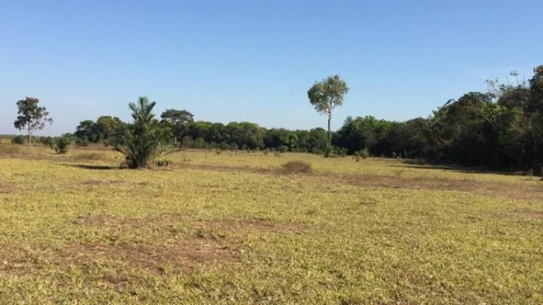 Imagem Fazenda à Venda, 500 m² em Zona Rural - Duerê