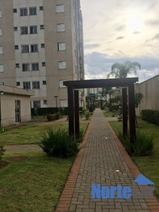 Imagem Apartamento com 2 Quartos à Venda, 50 m² em Vila Palmeiras - São Paulo