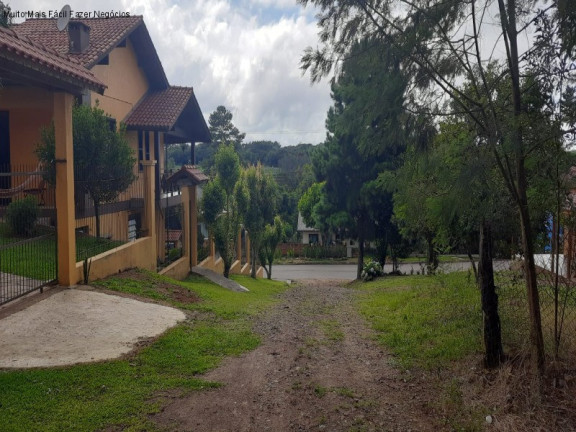 Terreno à Venda, 1 m² em Fazenda Pirajá - Nova Petrópolis