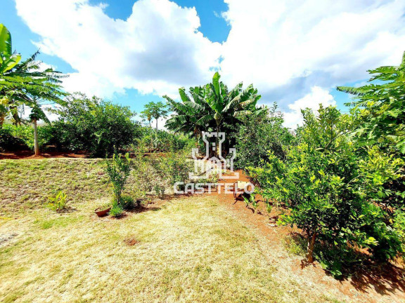 Imagem Chácara com 4 Quartos à Venda, 1.000 m² em Vila Rural Esperança - Londrina