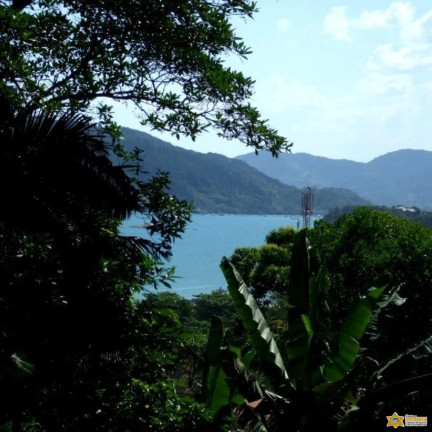 Imagem Terreno à Venda, 1.560 m² em Enseada - Ubatuba
