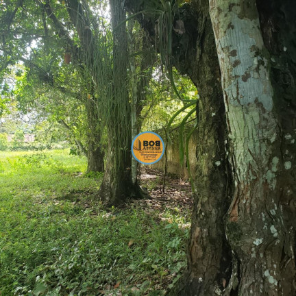 Imagem Casa com 3 Quartos à Venda, 400 m² em Aldeia - Camaragibe