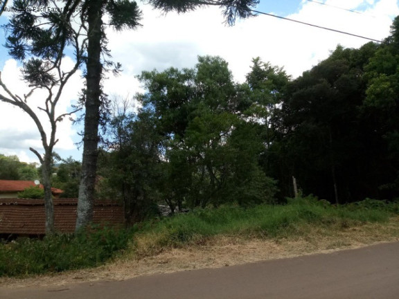 Imagem Terreno à Venda, 3.189 m² em Linha Brasil - Nova Petrópolis Imagem Terreno à Venda, 3.189 m² em Linha Brasil - Nova Petrópolis