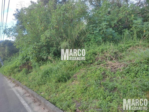 Imagem Terreno à Venda, 1 m² em Chico De Paula - Jaraguá Do Sul Imagem Terreno à Venda, 1 m² em Chico De Paula - Jaraguá Do Sul