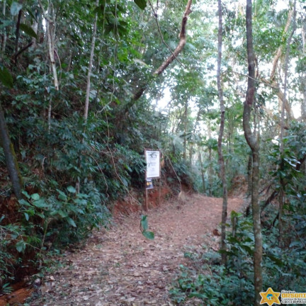 Imagem Terreno à Venda, 1.200 m² em Felix - Ubatuba Imagem Terreno à Venda, 1.200 m² em Felix - Ubatuba