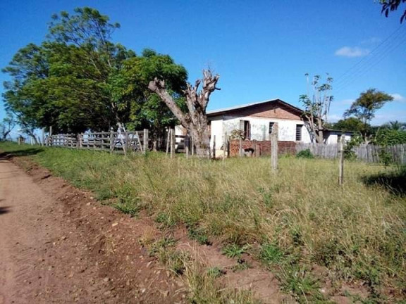 Imagem Imóvel com 3 Quartos à Venda, 62.000 m² em Zona Rural - Formigueiro