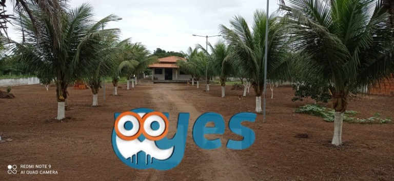 Imagem Imóvel com 3 Quartos à Venda, 10.000 m² em Asa Branca - Feira De Santana