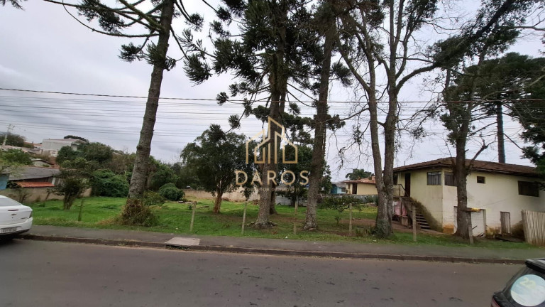 Imagem Terreno à Venda, 2.300 m² em Vila Ipanema - Piraquara Imagem Terreno à Venda, 2.300 m² em Vila Ipanema - Piraquara