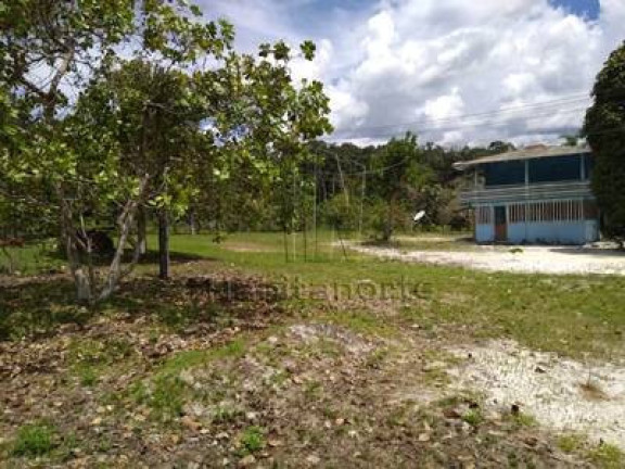 Imagem Chácara com 3 Quartos à Venda, 250 m² em Manaus Imagem Chácara com 3 Quartos à Venda, 250 m² em Manaus