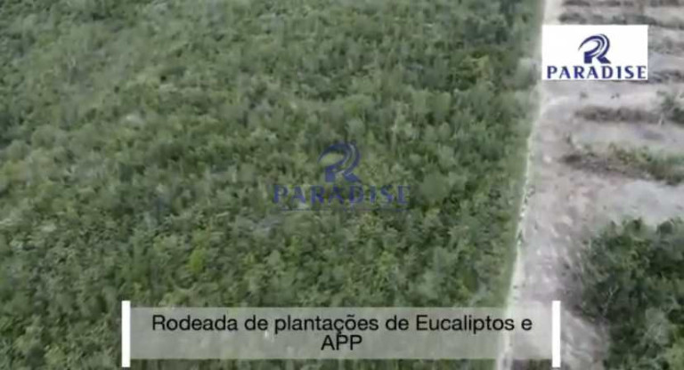 Imagem Fazenda à Venda, 305.000 m² em Zona Rural - Entre Rios Imagem Fazenda à Venda, 305.000 m² em Zona Rural - Entre Rios