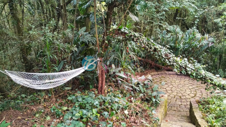 Imagem Casa com 4 Quartos à Venda, 350 m² em Taboão - Curitiba
