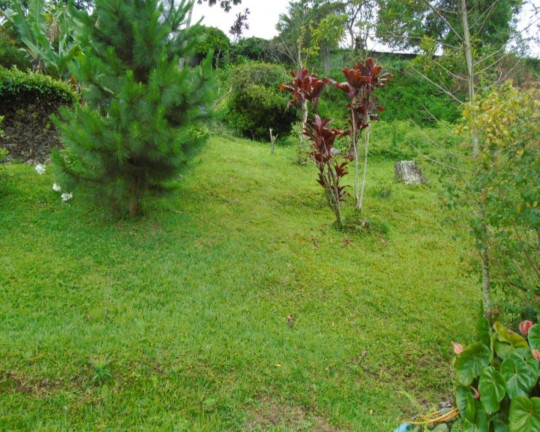 Imagem Casa com 5 Quartos à Venda, 300 m² em Iucas - Teresópolis