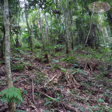Imagem Terreno à Venda, 3.504 m² em Represa - Ribeirão Pires Imagem Terreno à Venda, 3.504 m² em Represa - Ribeirão Pires