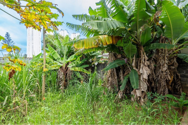 Imagem Terreno à Venda, 320 m² em Cidade Dutra - São Paulo Imagem Terreno à Venda, 320 m² em Cidade Dutra - São Paulo