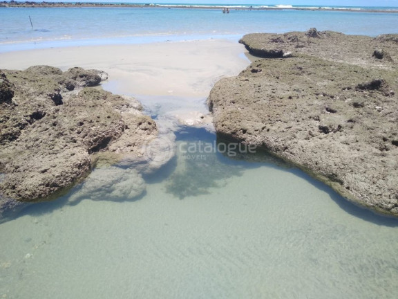 Imagem Casa com 2 Quartos à Venda, 250 m² em Praia De Búzios - Nísia Floresta Imagem Casa com 2 Quartos à Venda, 250 m² em Praia De Búzios - Nísia Floresta