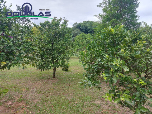 Imagem Terreno à Venda, em águas Claras - Viamão Imagem Terreno à Venda, em águas Claras - Viamão