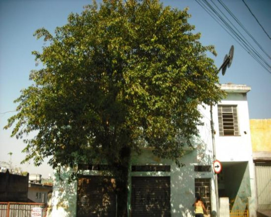 Terreno à Venda, 500 m² em Vila Ré - São Paulo
