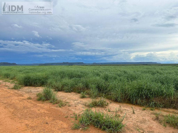 Imagem Chácara à Venda, 58.000.000 m² em Rural - Balsas Imagem Chácara à Venda, 58.000.000 m² em Rural - Balsas
