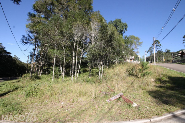 Imagem Terreno à Venda, 700 m² em Avenida Central - Gramado Imagem Terreno à Venda, 700 m² em Avenida Central - Gramado