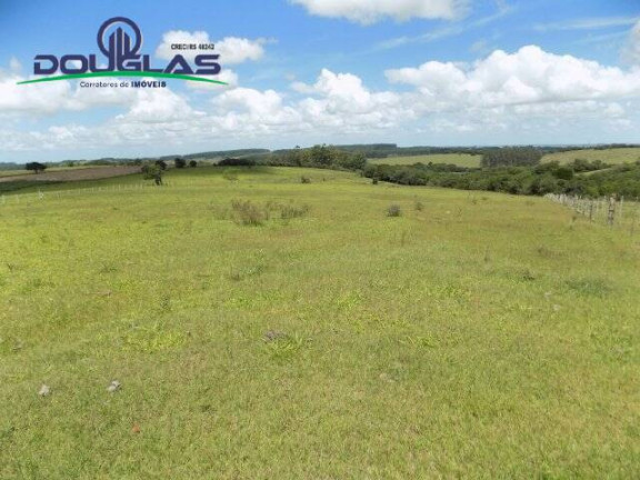 Imagem Chácara com 2 Quartos à Venda, 190.000 m² em Viamão Imagem Chácara com 2 Quartos à Venda, 190.000 m² em Viamão