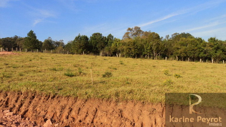Imagem Terreno à Venda, 3.000 m² em Fazenda São Borja - São Leopoldo Imagem Terreno à Venda, 3.000 m² em Fazenda São Borja - São Leopoldo