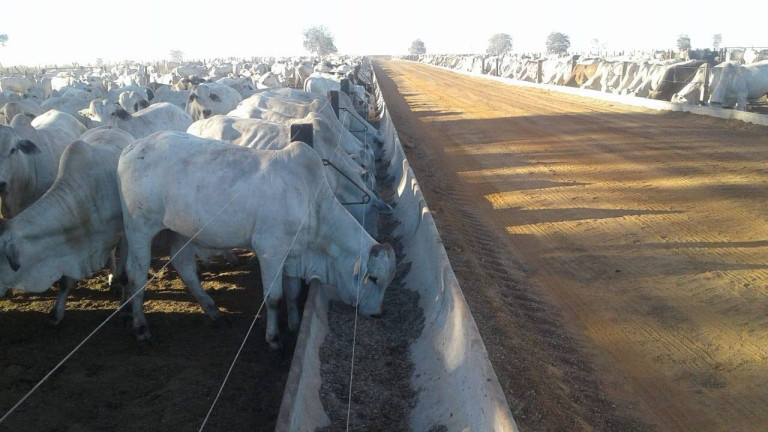 Imagem Fazenda à Venda, 831 m² em Setor Central - São Miguel Do Tocantins Imagem Fazenda à Venda, 831 m² em Setor Central - São Miguel Do Tocantins