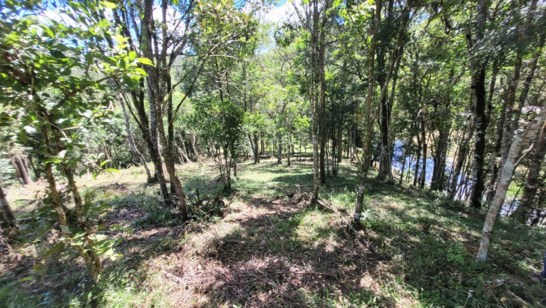 Imagem Fazenda à Venda,  em Imbuial - Campina Grande Do Sul