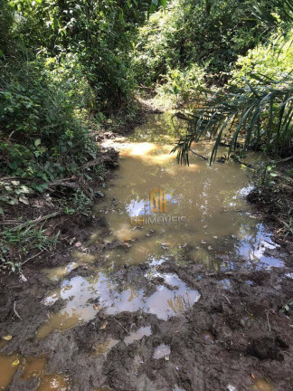 Imagem Chácara à Venda, 121.000 m² em Fazenda - Itapirapuã Imagem Chácara à Venda, 121.000 m² em Fazenda - Itapirapuã