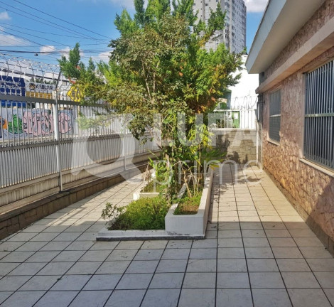 Imagem Casa com 3 Quartos à Venda, 192 m² em Vila Constança - São Paulo Imagem Casa com 3 Quartos à Venda, 192 m² em Vila Constança - São Paulo
